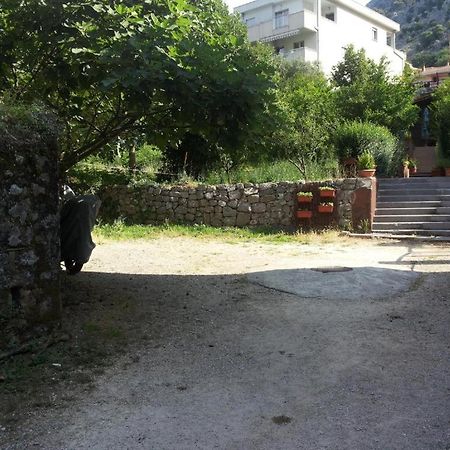 Apartments Sandra 2 Kotor Eksteriør billede